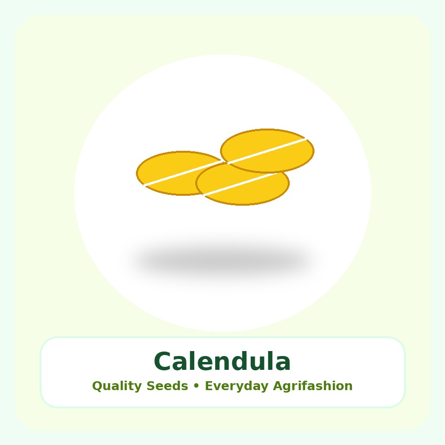 Calendula Seeds 100 Seeds