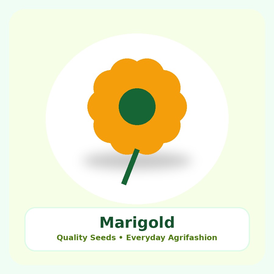 Marigold Seeds 50 Seeds