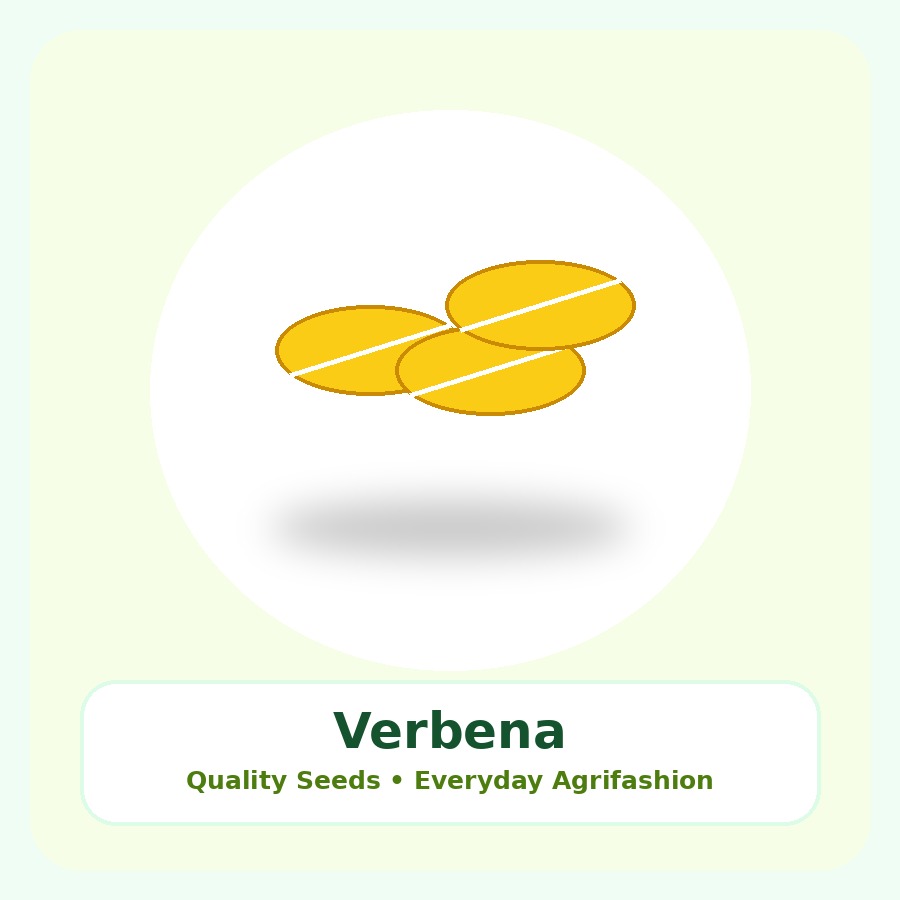 Verbena Seeds 250 Seeds