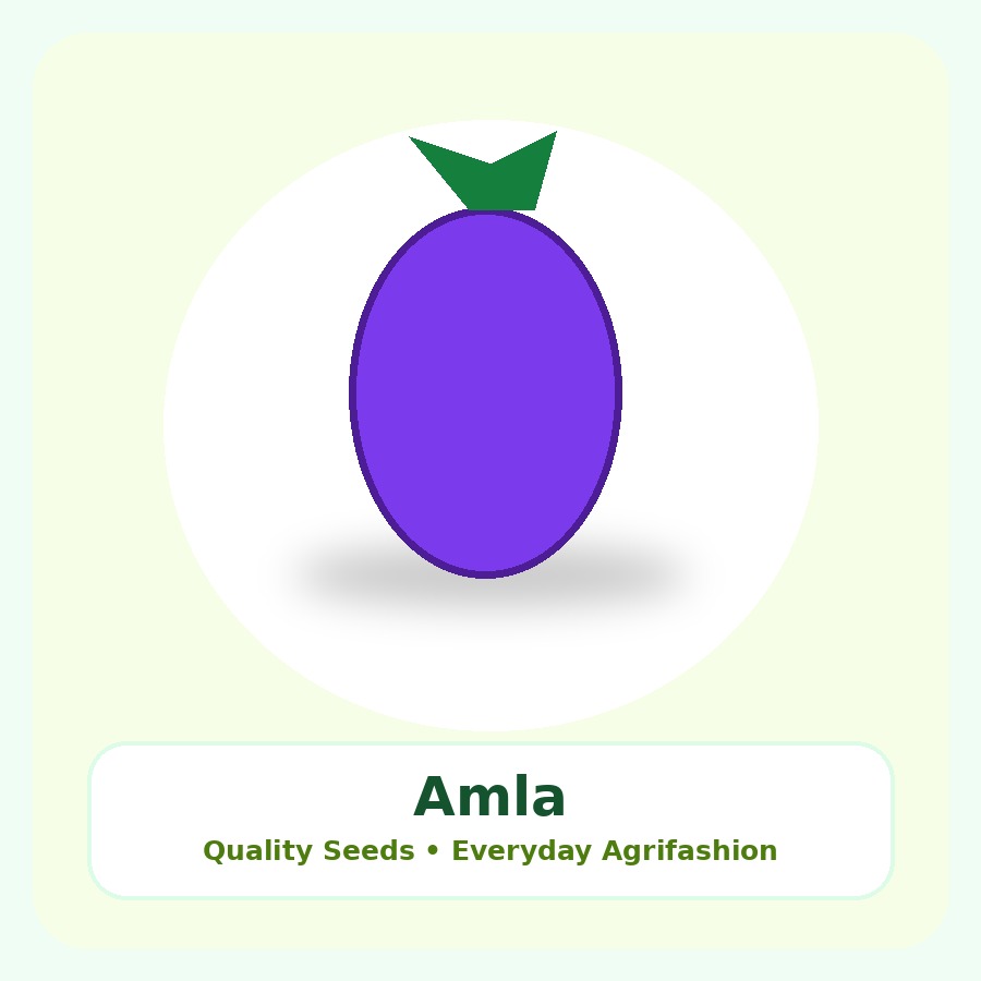 Amla Seeds 100 Seeds