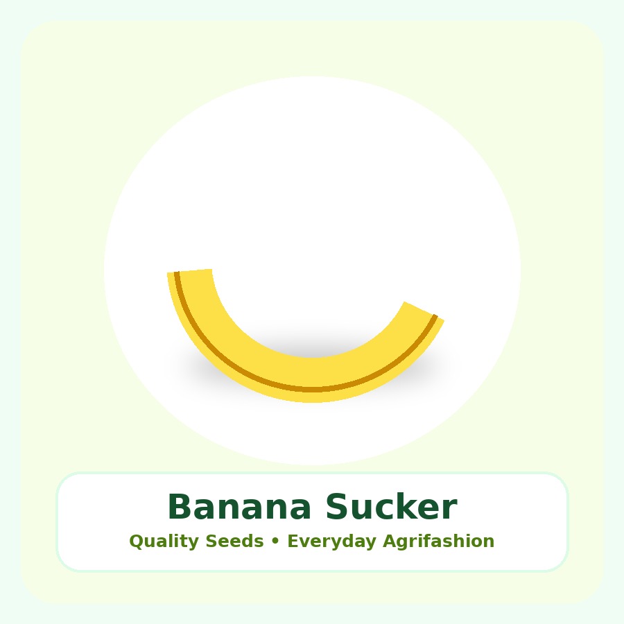 Banana Sucker Seeds 250 Seeds
