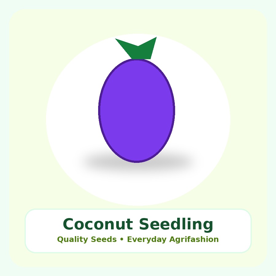 Coconut Seedling Seeds 100 Seeds