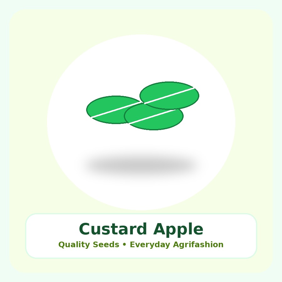 Custard Apple Seeds 100 Seeds