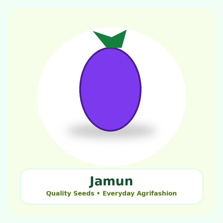 Jamun Seeds 100 Seeds