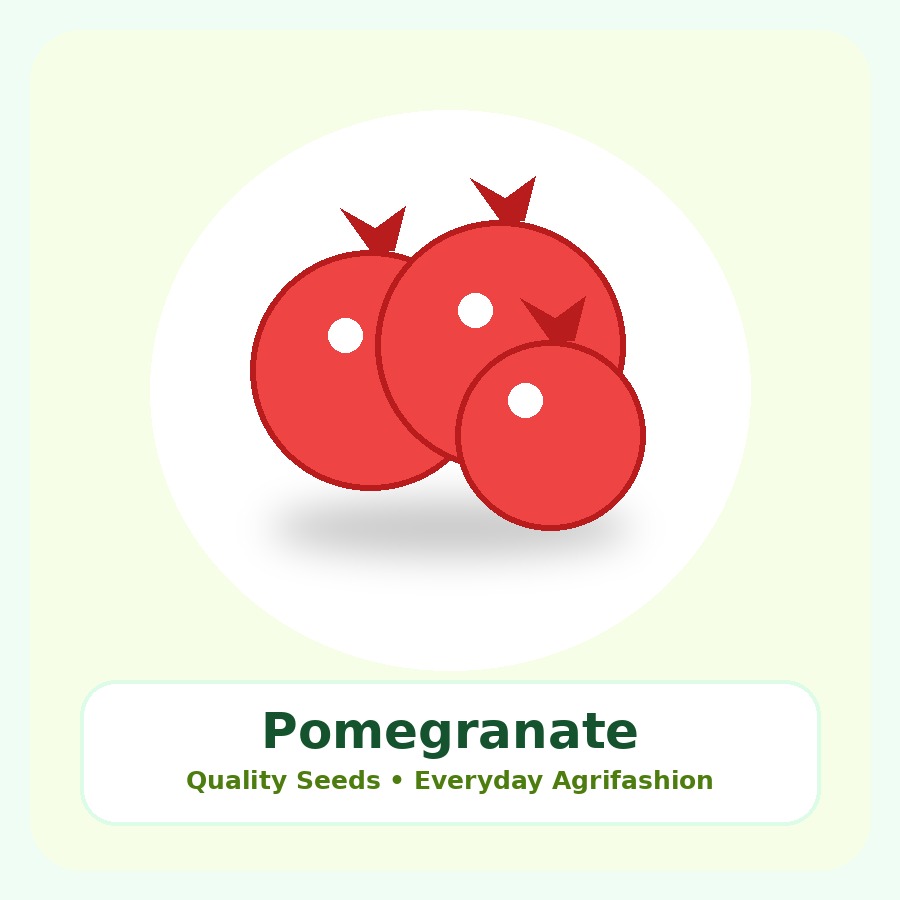 Pomegranate Seeds 50 Seeds