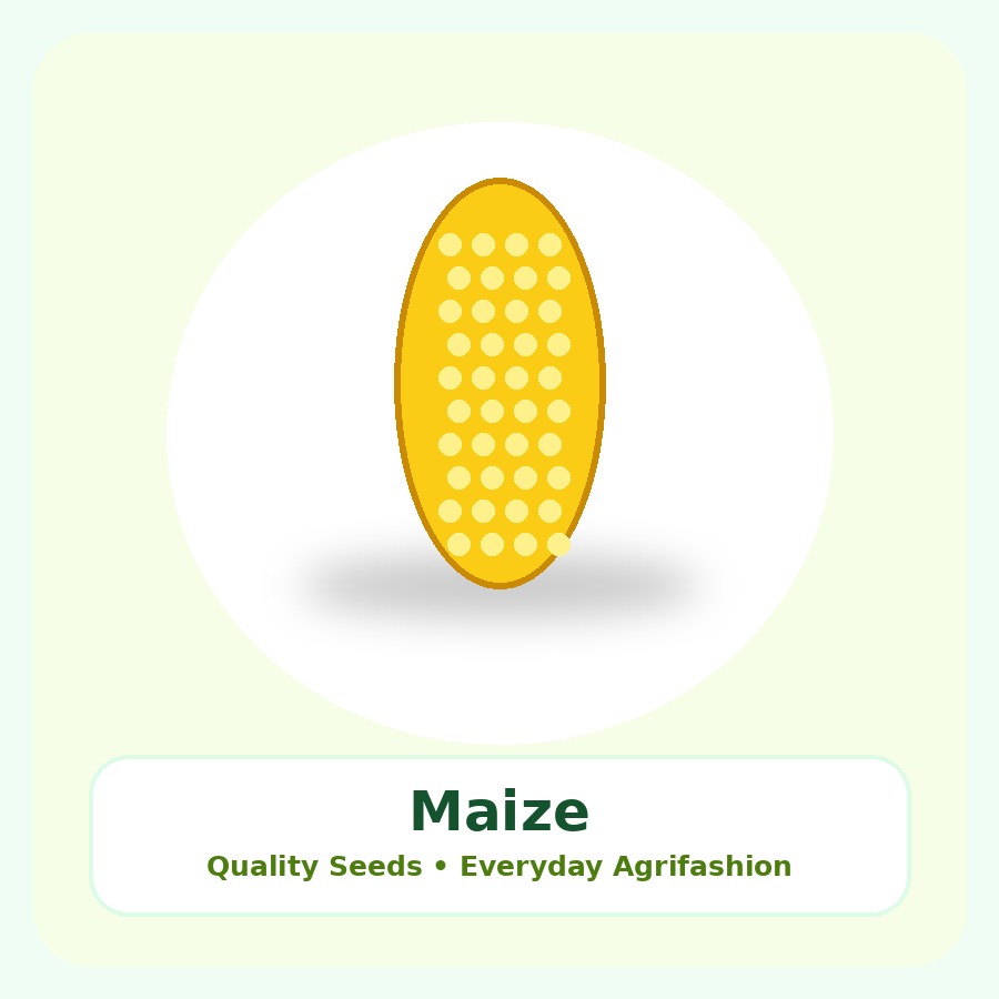 Maize Seeds 5kg