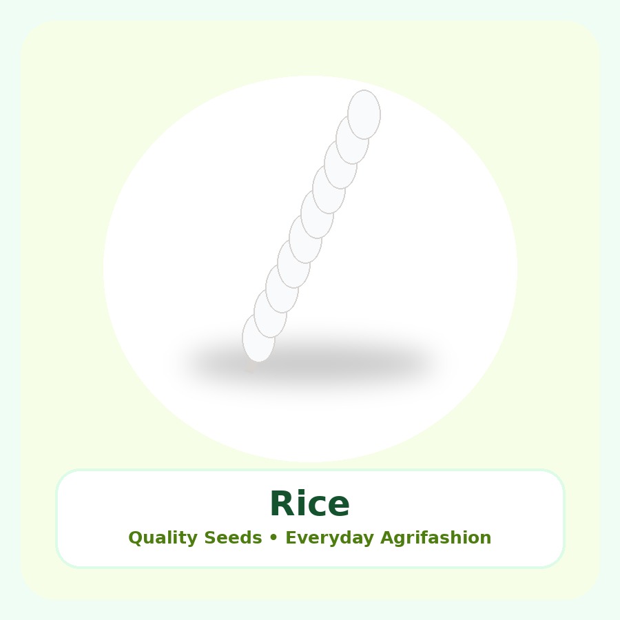 Rice Seeds 1kg