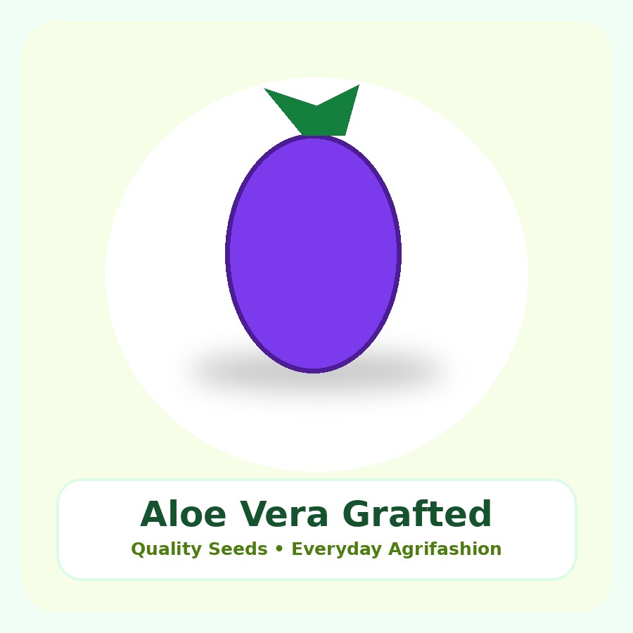 Aloe Vera Grafted Plant