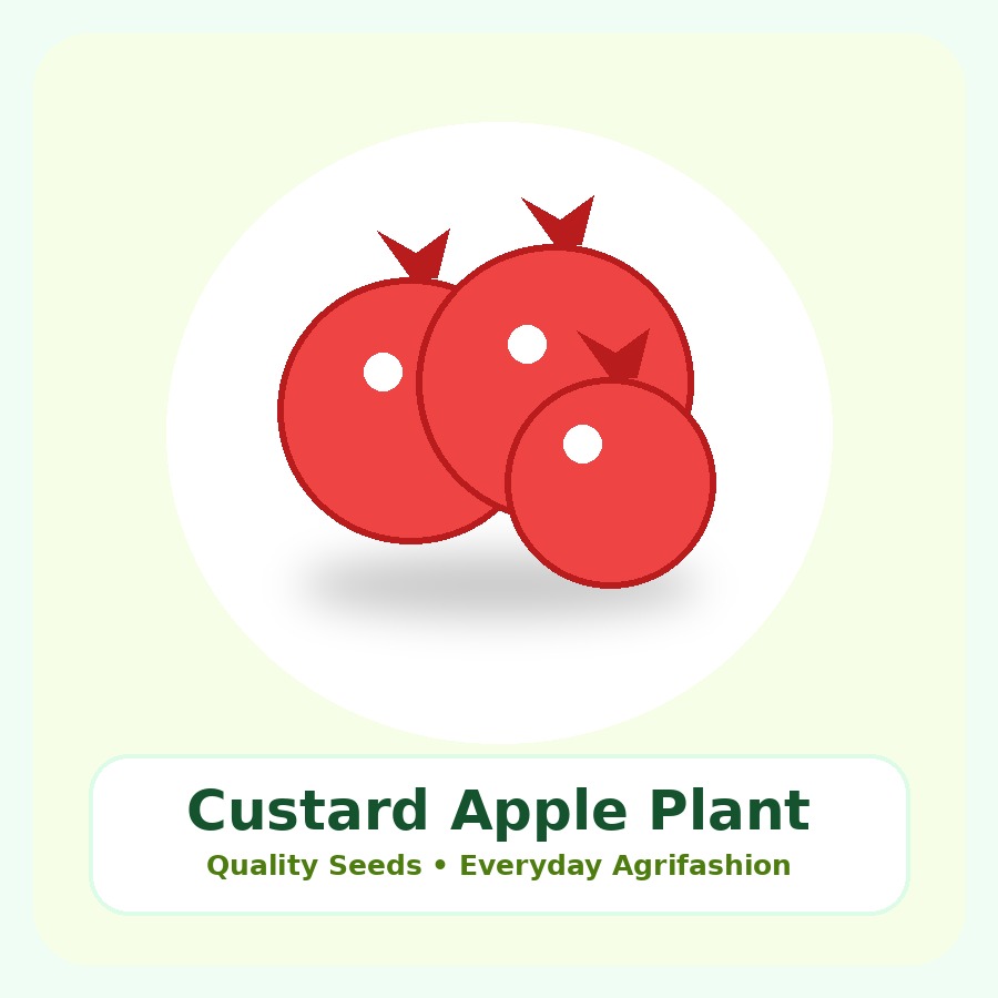 Custard Apple Plant Small Nursery Bag