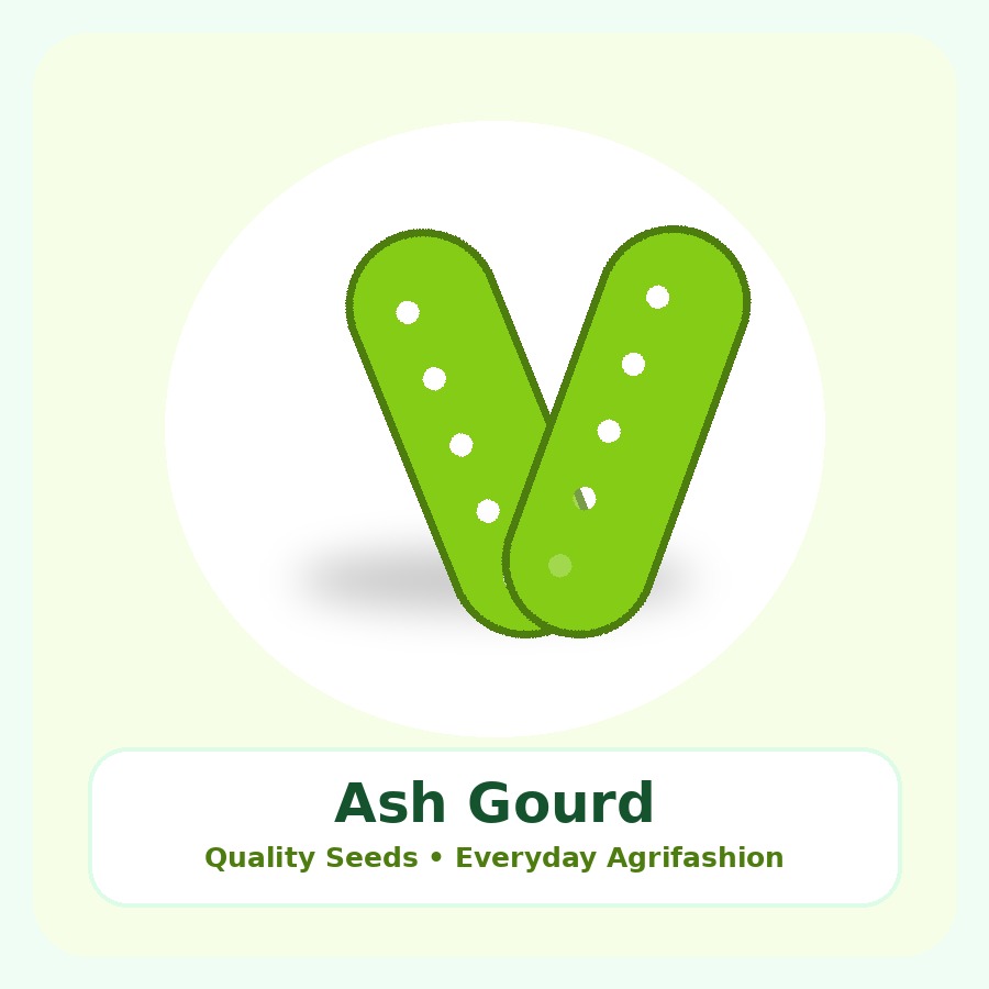 Ash Gourd Seeds 1kg