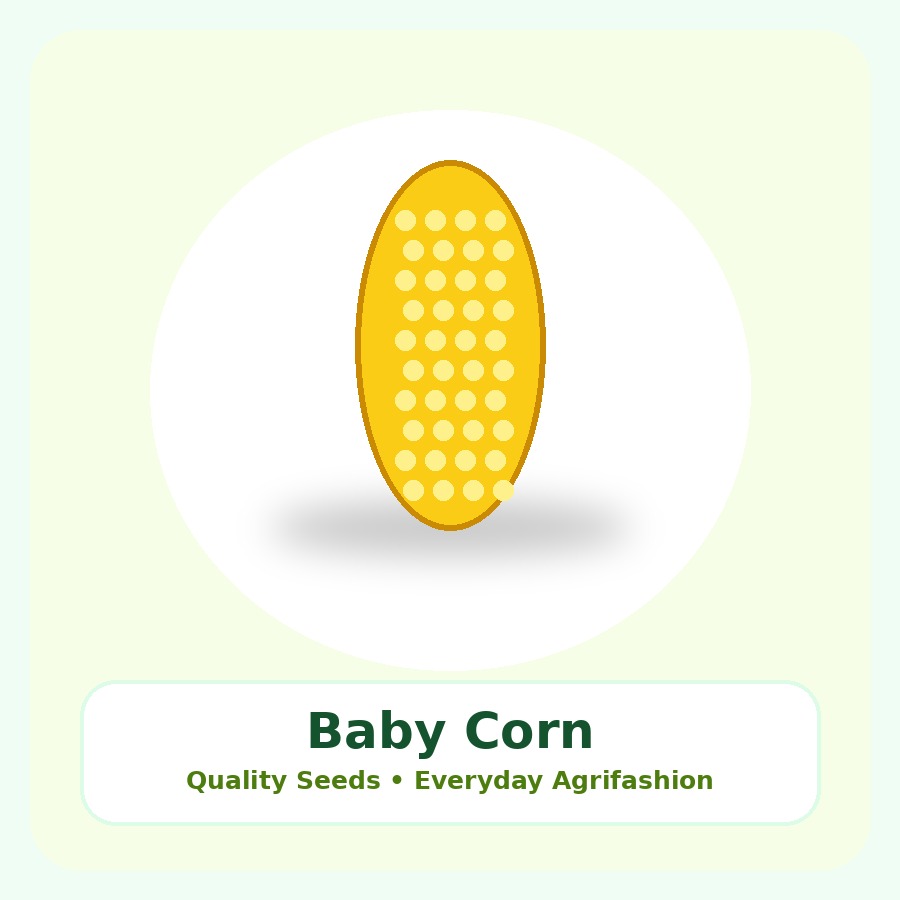 Baby Corn Seeds 250g
