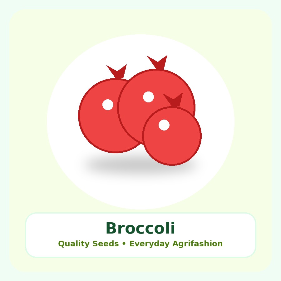 Broccoli Seeds 1kg
