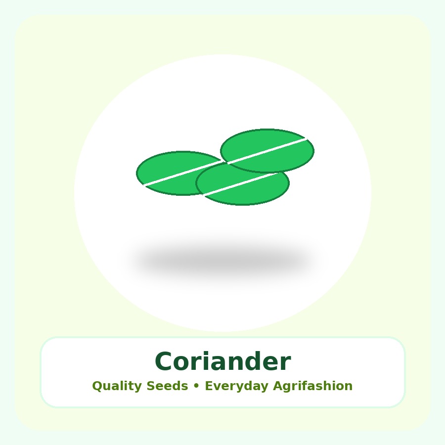 Coriander Seeds 50g
