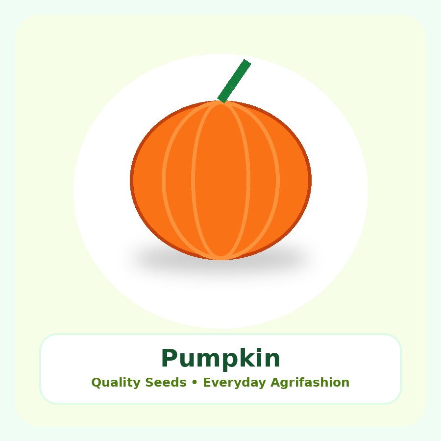 Pumpkin Seeds 25g