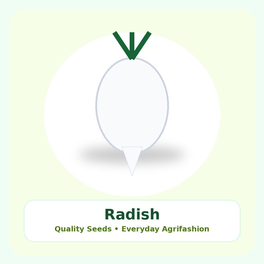 Radish Seeds 500g