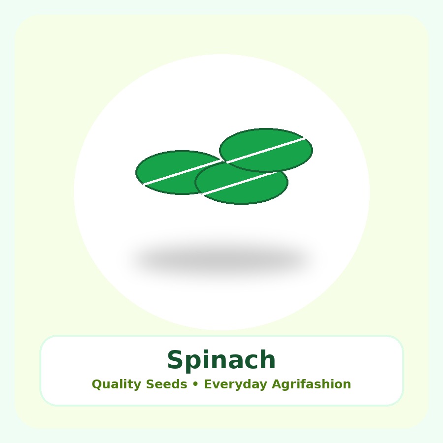 Spinach Seeds 50g