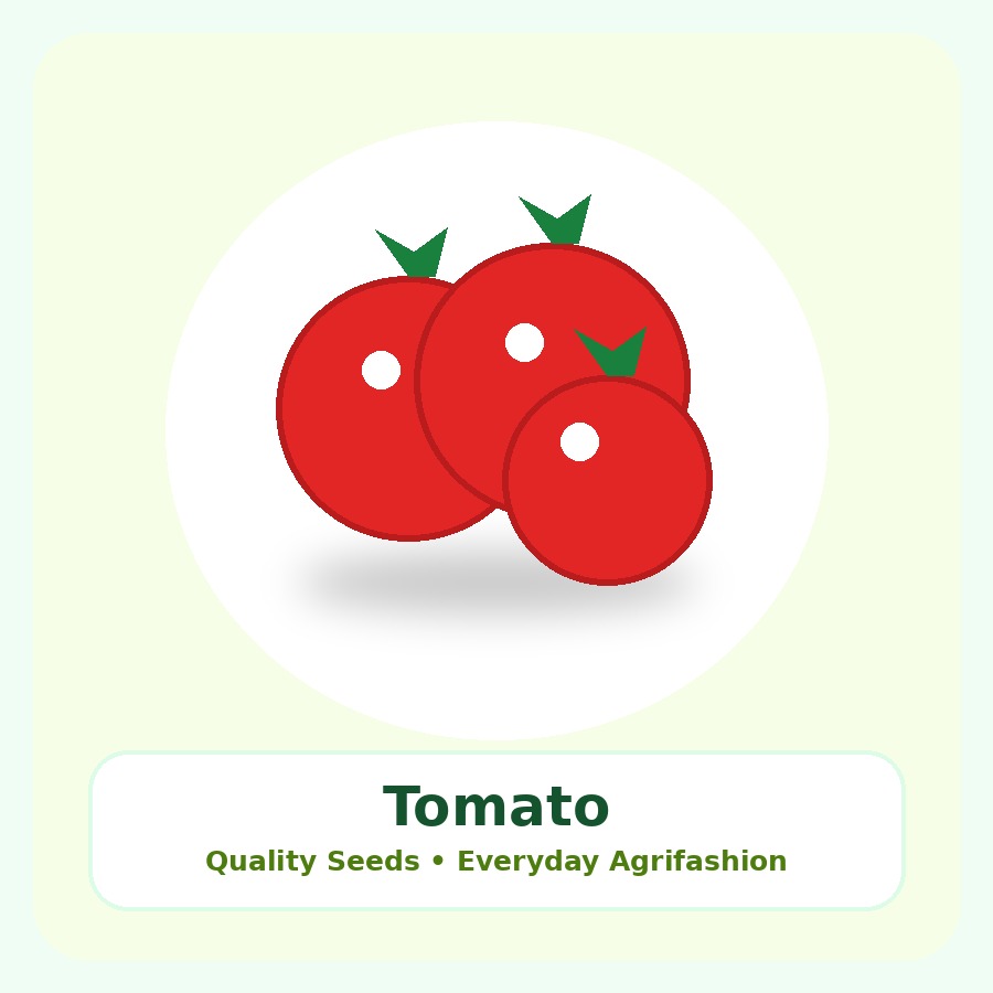 Tomato Seeds 100g